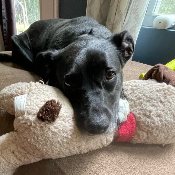 💜 - Picture 2 of 6